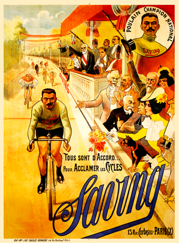 Saving Bicycle Poster