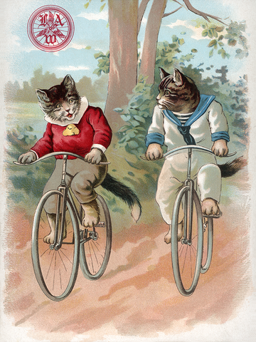 Cats - League of American Wheelmen Poster - MOLTENI CYCLING